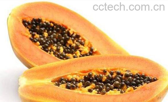 番木瓜与木瓜的区别 吃木瓜的好处-0