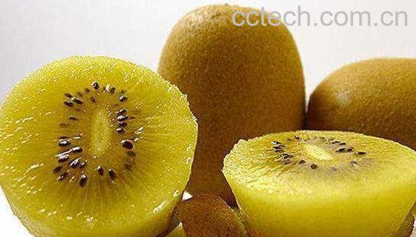 黄心猕猴桃怎么去皮 黄心猕猴桃什么时候吃-0