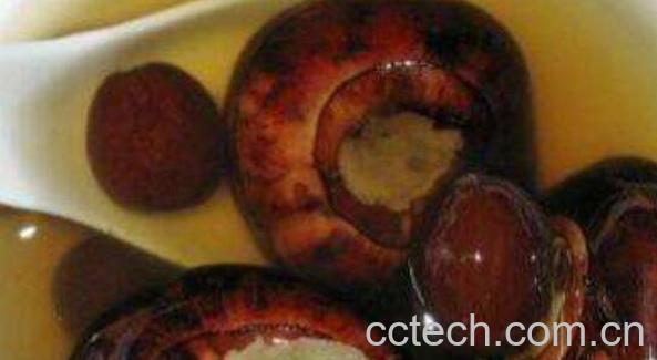 马蹄皮煮水有何功效-1