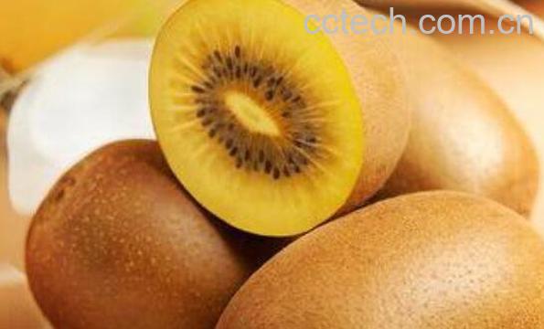 黄心猕猴桃的功效与作用 黄心猕猴桃的禁忌-0