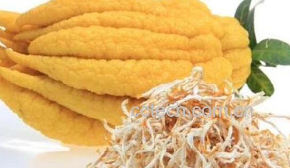 佛手柑如何泡水喝 佛手柑泡水喝的功效-0