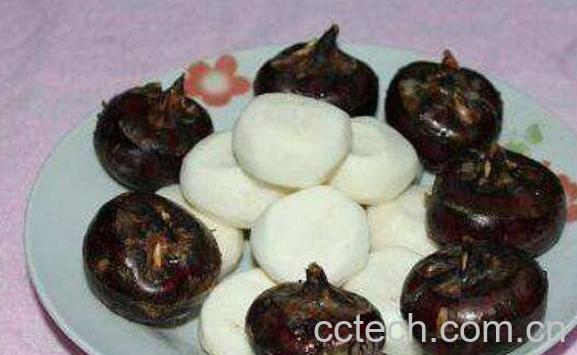 马蹄生吃的功效与作用 马蹄生吃好还是熟吃好-1