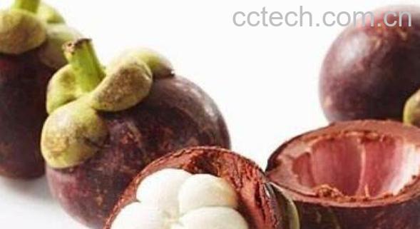 山竹壳的功效与作用 山竹壳有什么用处-0