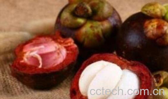 山竹壳的功效与作用 山竹壳有什么用处-1