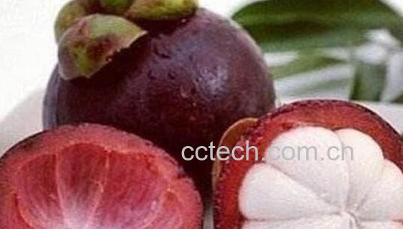 山竹壳怎么吃 山竹壳的正确食用方法-0