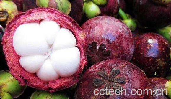 山竹壳熬水的功效与作用 山竹壳怎么煮水-1