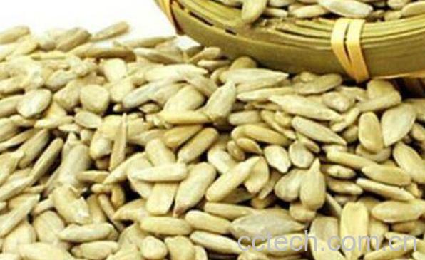 葵花籽的功效与作用 葵花籽的副作用-0
