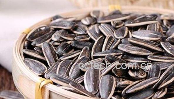 葵花籽的功效与作用 葵花籽的副作用-1