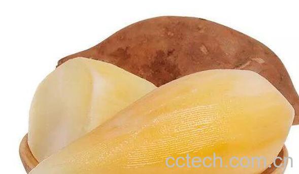 雪莲果的作用与功效 吃雪莲果的好处-0