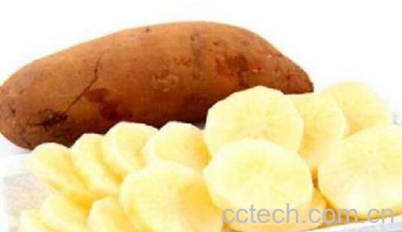 雪莲果的作用与功效 吃雪莲果的好处-1