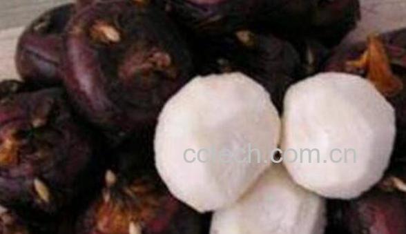 马蹄能生吃吗 马蹄生吃的功效与作用-1