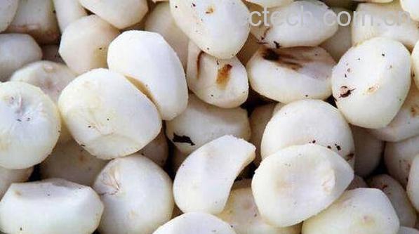 女人吃马蹄有什么好处和坏处-1