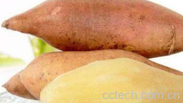 女生吃雪莲果的好处和坏处-0