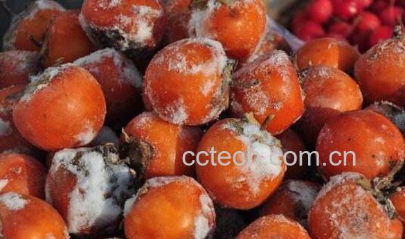 冷冻柿子的功效与作用-1