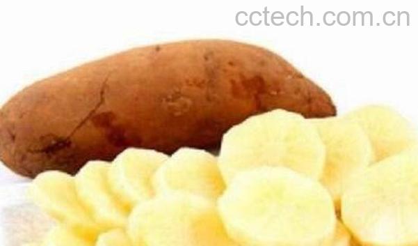 雪莲果怎么吃最好 雪莲果的吃法技巧教程-0