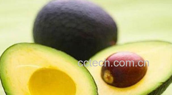 切开的牛油果怎么保存 牛油果切一半怎么保存-0