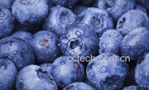 蓝莓怎么洗才干净 蓝莓怎么清洗-1