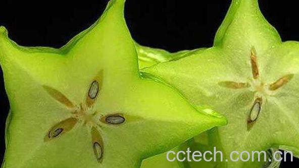 杨桃的功效与作用 杨桃的副作用-0