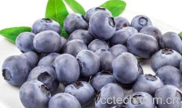 蓝莓的功效与作用 吃蓝莓的好处有哪些-1