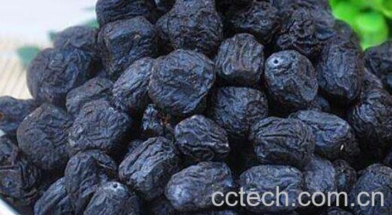 黑圆枣子的功效与作用-1