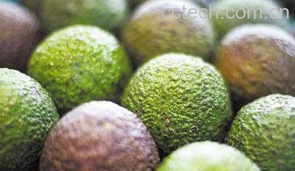 怎样挑选牛油果 牛油果的挑选方法技巧-0