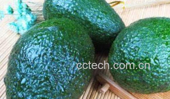 怎样挑选牛油果 牛油果的挑选方法技巧-1