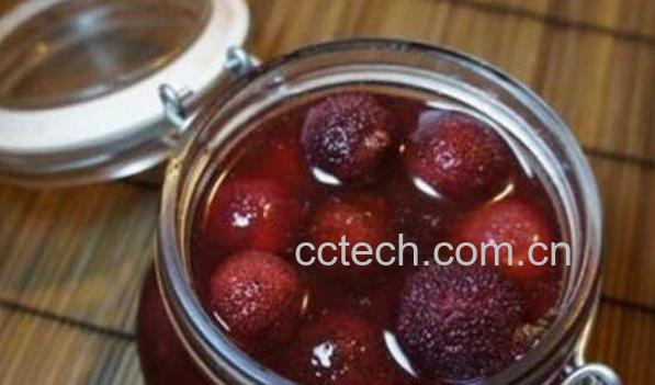 杨梅酒的功效和作用 什么人不能喝杨梅酒-1