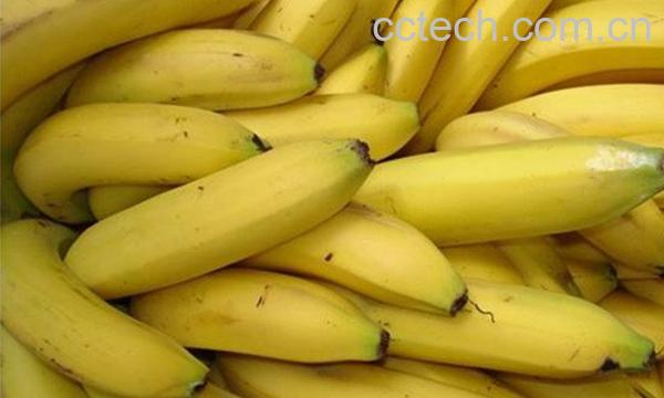 香蕉酵素-0