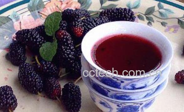 蚕桑子泡酒的功效与作用-1