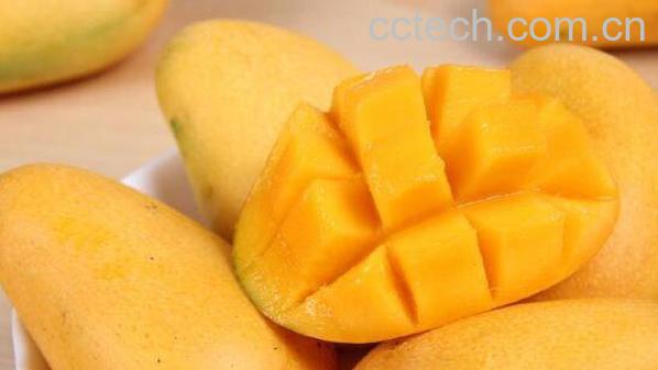 金煌芒怎么吃 金煌芒的正确食用方法-1