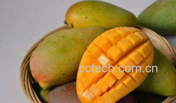 金煌芒怎么吃 金煌芒的正确食用方法-0