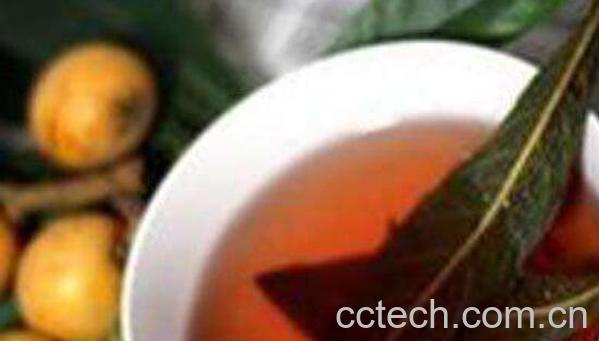 枇杷叶怎么煮水止咳 喝枇杷叶煮水的禁忌-0