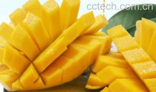 青皮芒怎么切 青芒果怎么吃-1