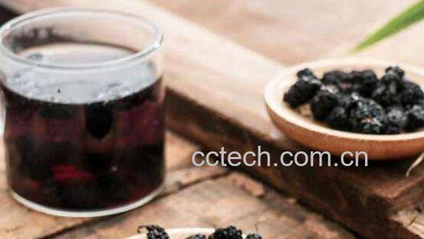 桑子泡酒的功效与作用 女人喝桑子酒的功效-1