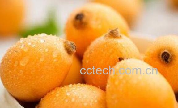 枇杷怎么吃 枇杷的正确食用方法-0