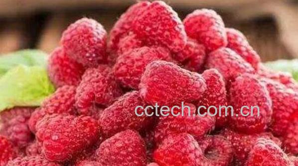 白酒泡树莓的功效与作用-0