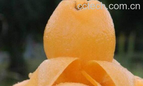 枇杷怎么吃 枇杷的正确食用方法-1