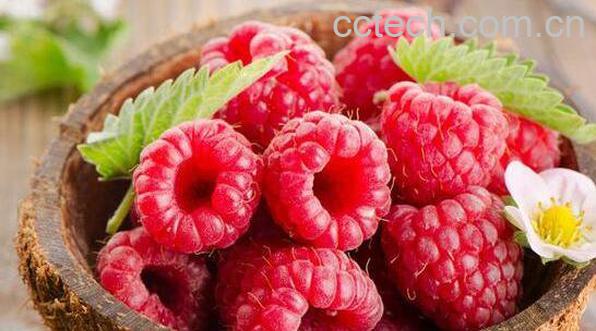 白酒泡树莓的功效与作用-1