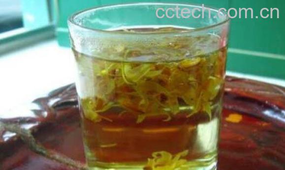 石斛怎么吃 新鲜石斛怎么吃最好-0