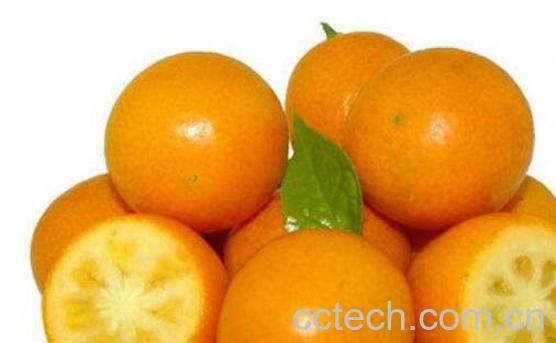 金桔怎么吃好吃 金桔的正确食用方法-0