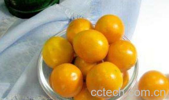 金桔怎么吃好吃 金桔的正确食用方法-1