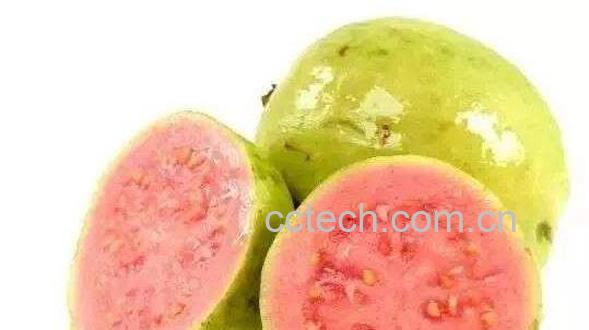 芭乐的籽可以吃吗 芭乐籽的功效与作用-0