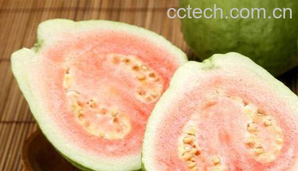 芭乐的籽可以吃吗 芭乐籽的功效与作用-1