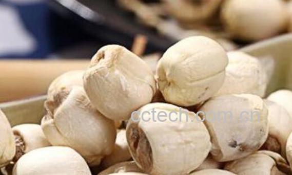 干莲子怎么保存 干莲子的储存方法-1