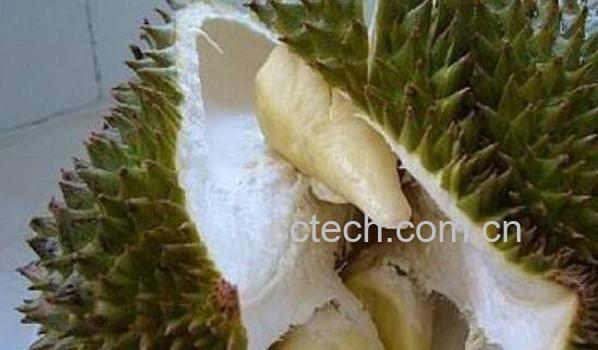 榴莲哪些部位可以吃 榴莲哪些地方不能生吃-0