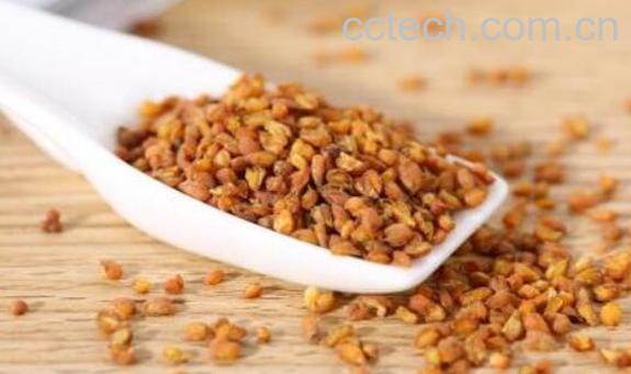 女性天天喝苦荞茶坏处-0