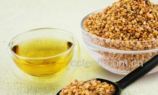 黑苦荞茶的作用与功效-0