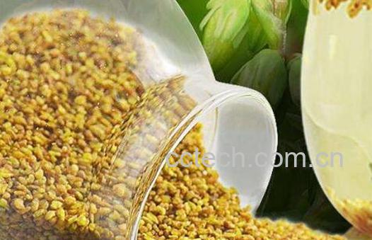 黑苦荞茶的作用与功效-1