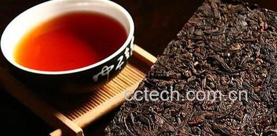 女性喝普洱茶的危害-0