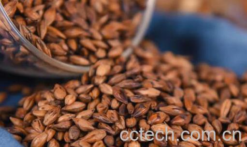 大麦茶有什么功效 喝大麦茶有什么好处-0